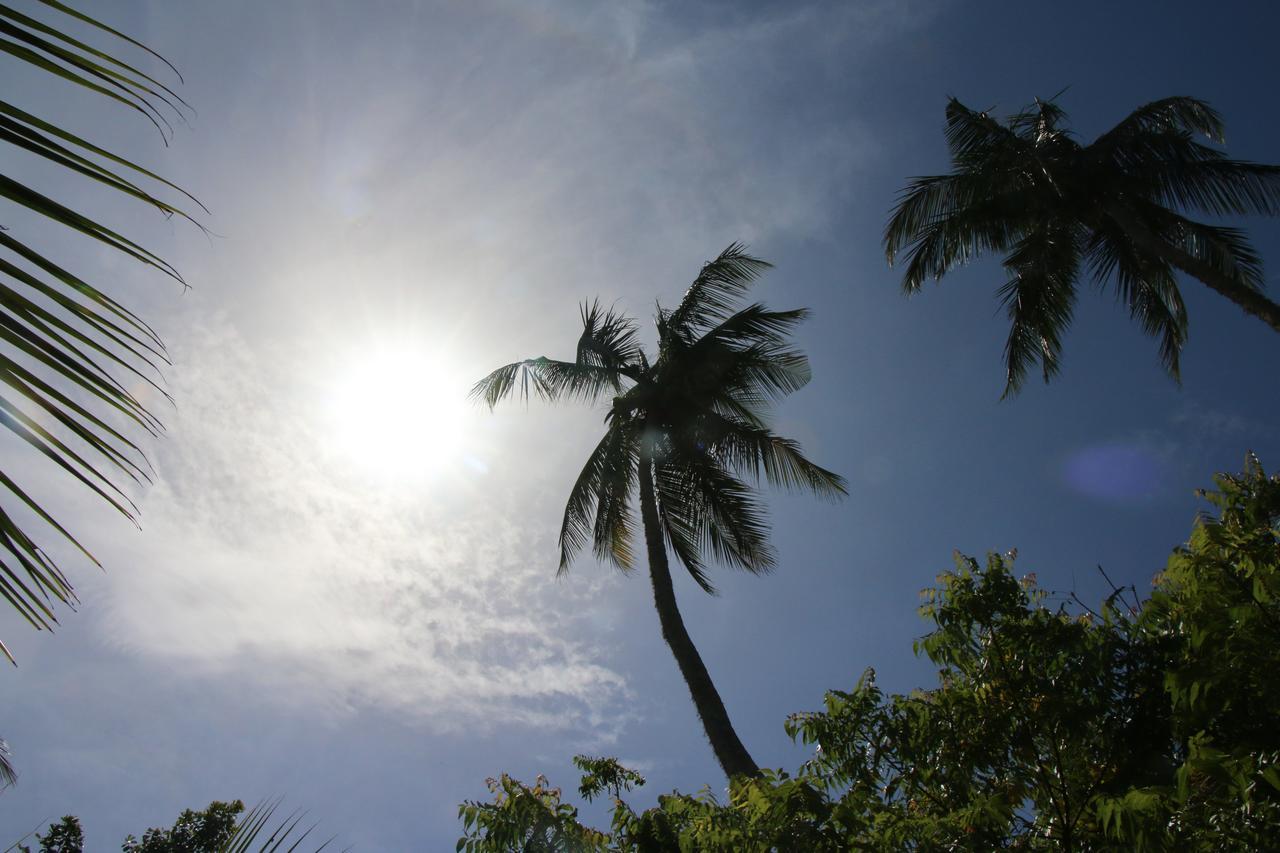 Resort Shiva's